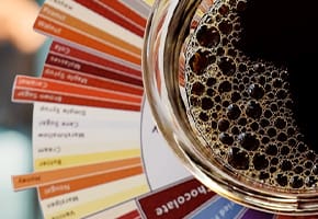 Rueda de Sabores SCA con tazas mostrando notas frutales, florales y achocolatadas del café de especialidad.